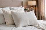 Bbl-Pillow-1