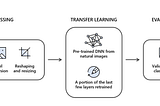 Deep learning approach in detecting malware (STAMINA)