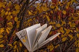 Öneri: Üç Kitap