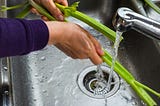 Rinsing some celery stalks in a metal sink with water