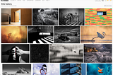 Elite gallery as part of 100 ASA workflow for photographers