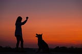 What I Learned About Leadership in Dog Obedience School