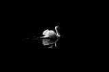 Resilience Is A Glamorized Concept