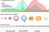 PCOS: Polycystic Ovarian Syndrome 2: The Solutions