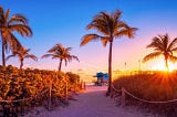 Summer in Full Swing: Your Ultimate Guide to the Hottest Season in Miami