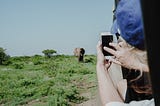 A woman takes a picture of an elephant in the distance from a car