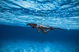 What is Freediving? Everything You Need to Know 2024