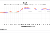 Monitoring Excess Mortality During the COVID-19 Pandemic — The Case of Brazil