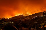 Does Instagram mar or make the chaos surrounding blazing California?