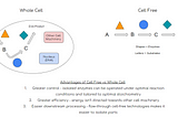 The Bioproduction Battle