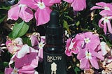 Why Choose BKLYN CBD Oil Tinctures?