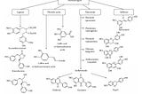 Figure showing major compounds of phytoestrogens.