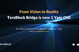 From Silos to Bridges: Celebrating One Year of TeraBlock’s Multichain Token Bridge