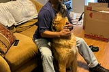 The Other Side of Rehoming a Pet