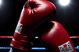 Everlast Boxing Gloves-1