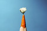50 Million Plantable Pencils Sold: How Sproutworld is Greening the World with Sustainable…
