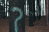 A row of trees in a forest all have a question mark spray painted on them.