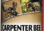 spectracide-carpenter-bee-yellowjacket-killer-16-ounce-1