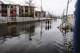 Harvey, Irma, and Maria: Natural Disasters and Human Trafficking