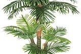 amerique-gorgeous-unique-5-feet-tropical-palm-artificial-plant-silk-tree-real-touch-technology-with--1