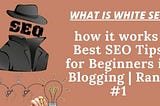 What Is White Hat SEO | How It Works | Best SEO Tips For Beginners In Blogging | Rank #1 —…