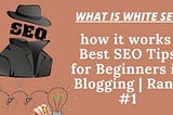 What Is White Hat SEO | How It Works | Best SEO Tips For Beginners In Blogging | Rank #1 —…