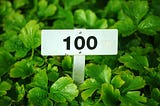One Hundred