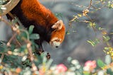 A closer look at Redpanda
