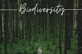 Embracing Biodiversity: A Call to Protect Our Planet and Its Inhabitants