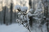 Cultivating Composition Consciously