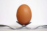 How a chicken makes its egg