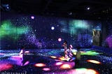 EPSON teamLab Borderless Exhibit in Tokyo: Review and Guide