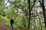 #MeToo Relief + Norway Fjords + American Satire: Milena D. Lazić