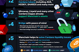 Wanchain Bridge — Your Ultimate Tool to Take Advantage of Cardano’s DeFi Opportunities