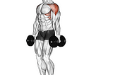 Workout — Shoulder Exercises
