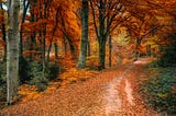 Dialogue Between Two Trees in a Forest Discussing Changing Seasons