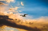 a bird flying high in a colorful blue and gold sky
