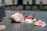 Gone