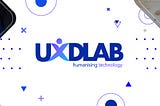 web development company/uxdlab