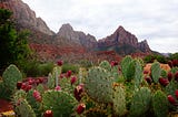 Chapter 19 — Planting the Desert