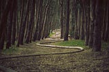 How Hypnosis Can Help Writer’s Block (And Why I Love Hypnotizing Writers)