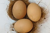 Did Eggs Evolve By Chance?