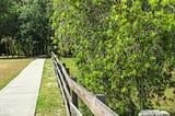 A Morning Walk Makes Happy Lungs