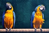 ChatGPT and Security Parrots