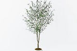 93-artificial-olive-tree-threshold-designed-with-studio-mcgee-1