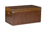 southern-enterprises-bristol-trunk-cocktail-table-walnut-1