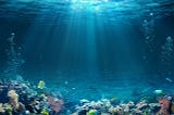 A Deep Dive Underwater: Exploring Marine Animal’s Life