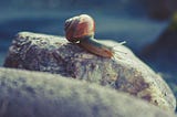 The Power of Slow Leadership