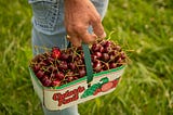 How to cherry-pick on GitHub