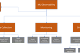 ML Observability